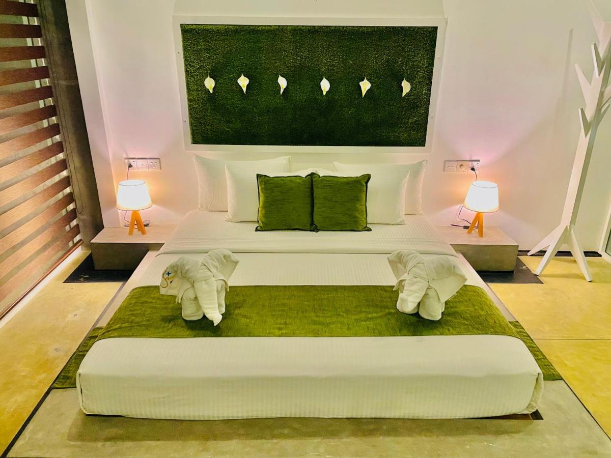 8 Plus Motels Negombo Exteriér fotografie