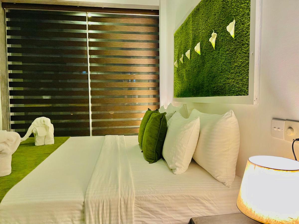 8 Plus Motels Negombo Exteriér fotografie